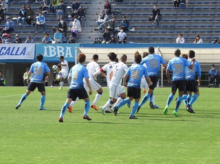 IMG_1130.jpg