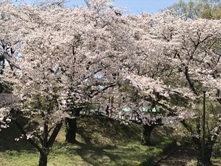 IMG_1392.jpg