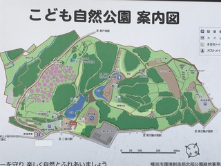 IMG_1393.jpg
