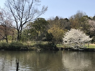 IMG_1395.jpg