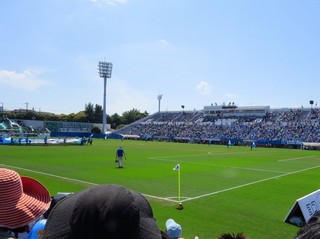 IMG_2461.jpg